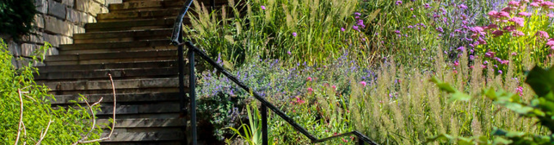 A Stairway Through Serenity.