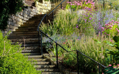 A Stairway Through Serenity.