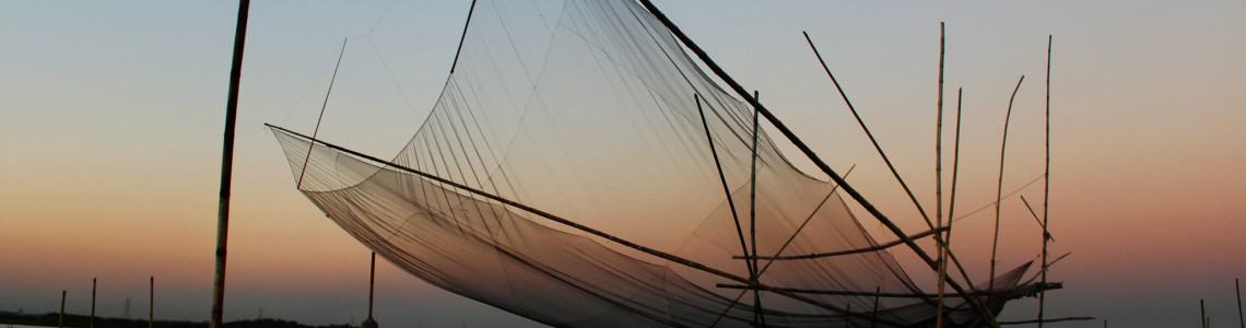 মুড-ড্রিভেন লাইট